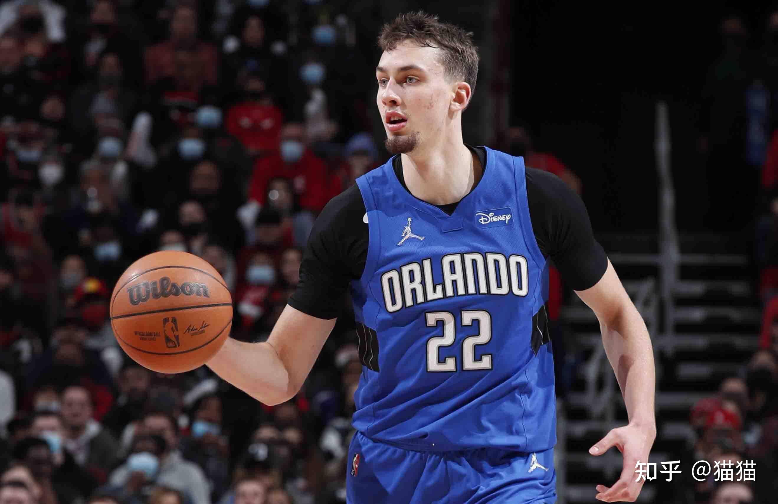 德约科维奇 德约科维奇