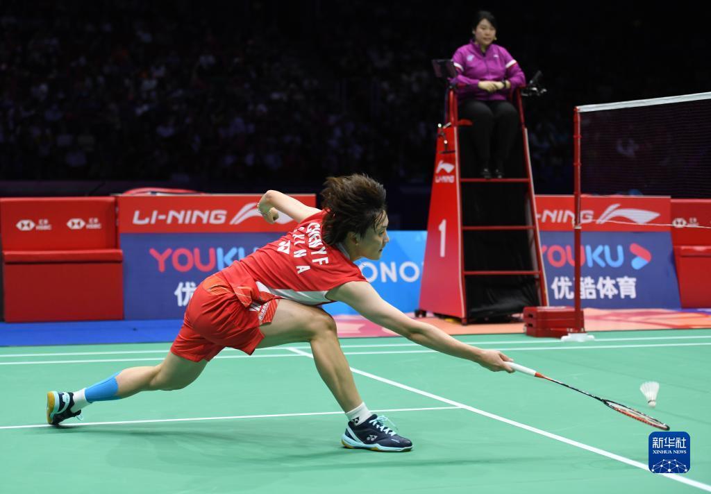 的生动展示 的生动展示